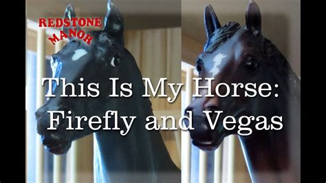 This Is My Horse Firefly And Vegas Youtube