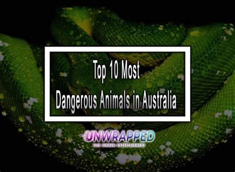 Top 10 Most Dangerous Animals In Australia 2023