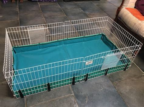 Best Indoor Guinea Pig Cages Uk Buying Guide Tips