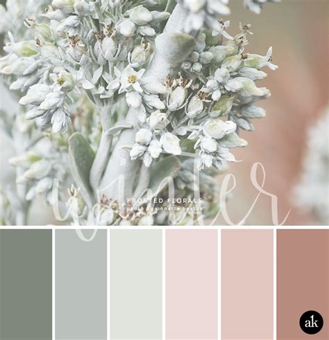 A Winter Floral Inspired Color Palette Goals Creative Brands