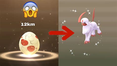 Hatching 12km Eggs Pokemon Go Shiny Absol Youtube