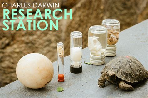 Galapagos Charles Darwin Research Station Blog