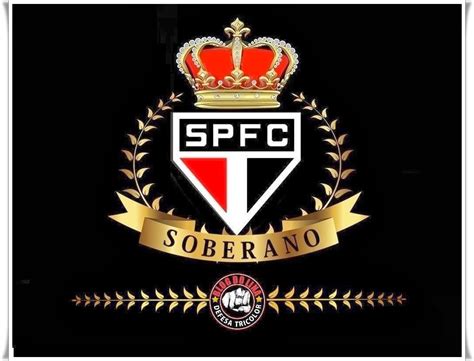 It shows all personal information about the players, including. SPFC SOBERANO: SÃO PAULO FUTEBOL CLUBE