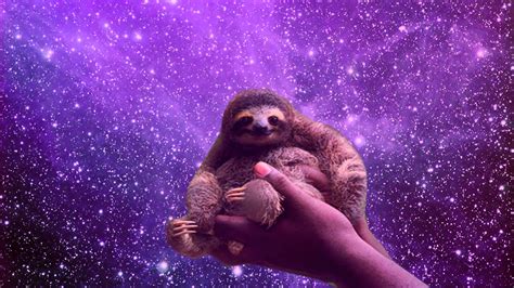 Free Download Sloth Wallpapers
