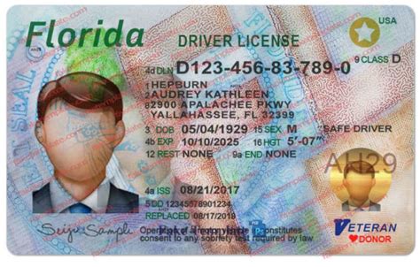 Florida Drivers License Psd Template Buy Fake Id Photoshop Blank