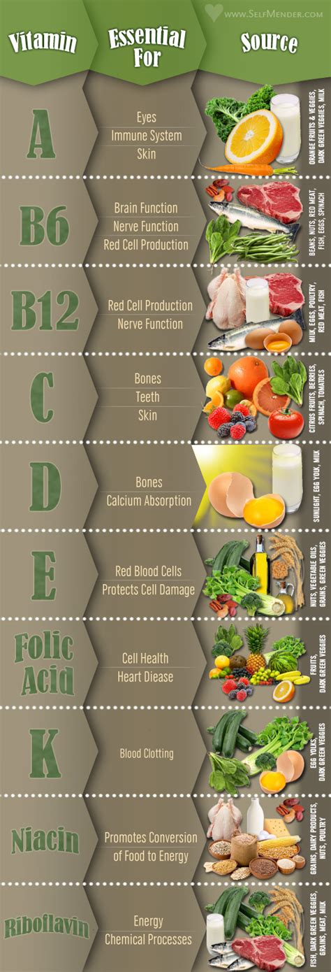 Vitamins And Their Food Sources Infographics By