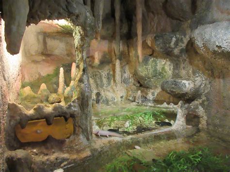 Axolotl Cave Exhibit Zoochat