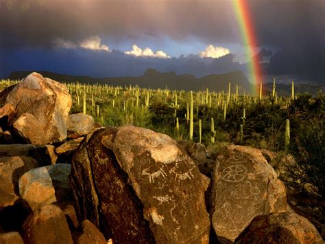 49 Saguaro National Park Wallpapers Wallpapersafari