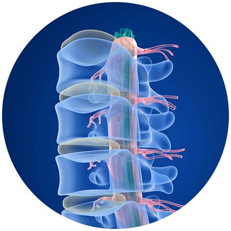 Bulging Disc Symptoms Treatments Advanced Spine Center