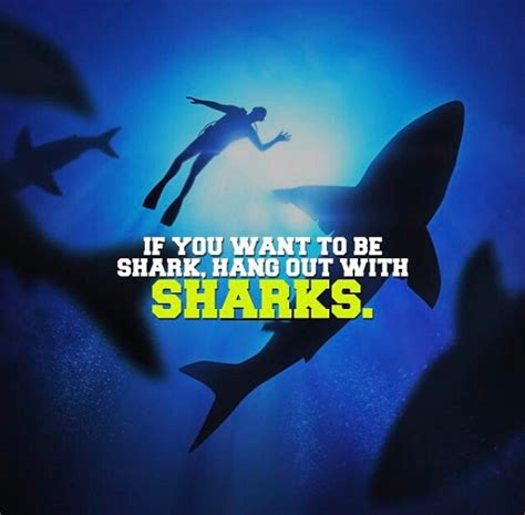 If You Want To Be A Shark Hang Out With Sharks Me Quotes Motivational