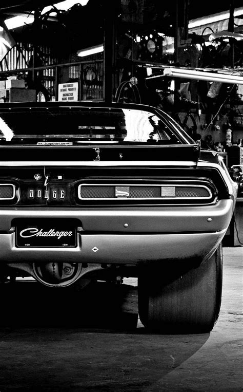 Dodge Challenger Muscle Car 176 Trends Collections Pistoncars
