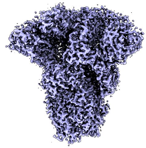 This subreddit seeks to monitor the spread of the. Coronavirus Cell Recognition