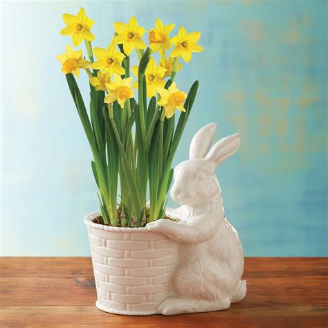 12-Month Gift Plant Club (Begins in March) | Plant Club ...