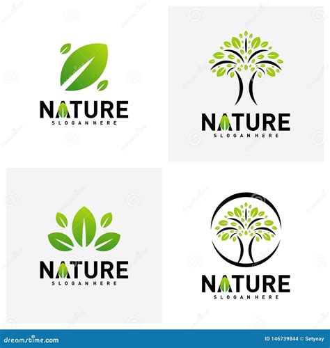 Set Of Nature Leaf Green Logo Design Concepts Environment Logo