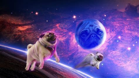 Space Pug Wallpaper 1920x1080 By Redysome On Deviantart