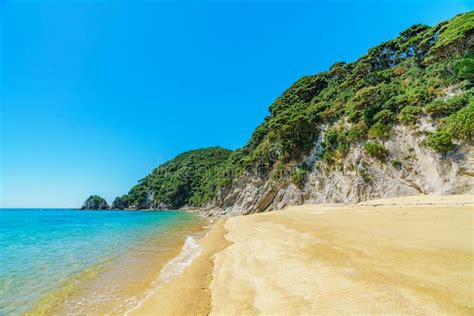 Tropical Beach In Abel Tasman National Park New Zealand 33 Stock Image