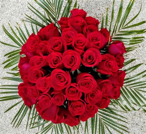 Regala Una Docena De Rosas Rojas Para El Día De San Valentín Ramo De Rosas Rojas Docena De