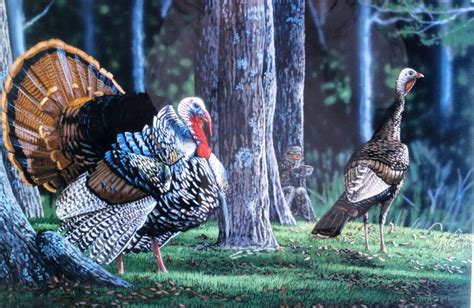 national wild turkey federation last call print