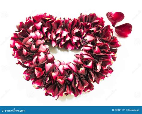 Rose Flowers Heart Over White Stock Image Image Of T Bouquet
