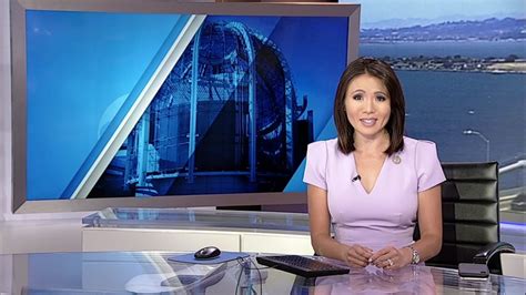 Abc7 News Anchor Dion Lim Finds Value Of Karens In Journalism Shares