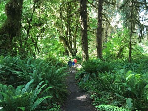 20 Top Things To Do In Washington State For Families 10 Traveling Feet