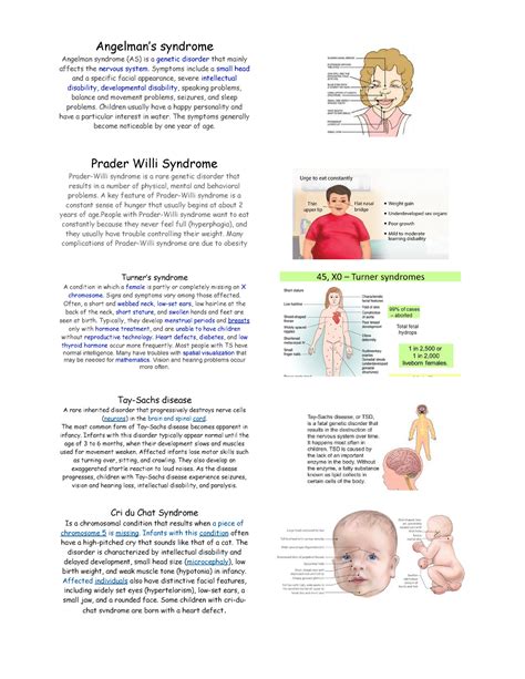 Angelman Syndrome Lecture Notes 1 Angelmans Syndrome Angelman