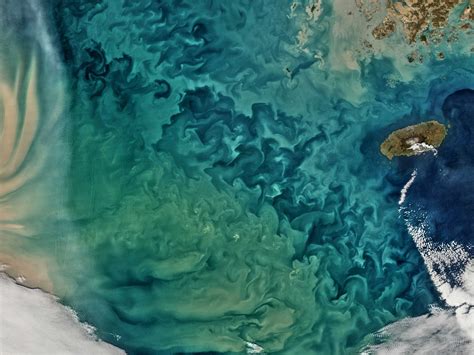 Crazy Color Swirls In Yellow Sea Satellite Photo Business Insider