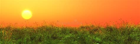 Summer Meadow Grass Panorama Stock Image Image Of Grass Clear 72540739