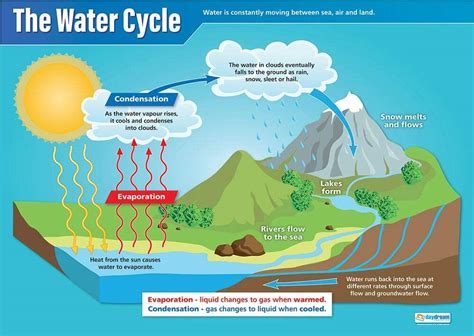 Buy The Water Cycle Science Posters Gloss Paper Measuring 33” X 23
