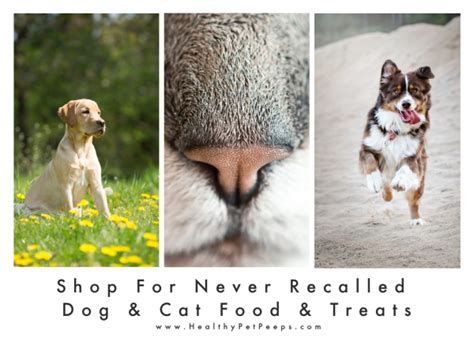 Life's abundance hasn't been offering dog food for very long, so not much is known about the quality of the ingredients they use. Life's Abundance All Life Stage Dog Food Ingredients And ...