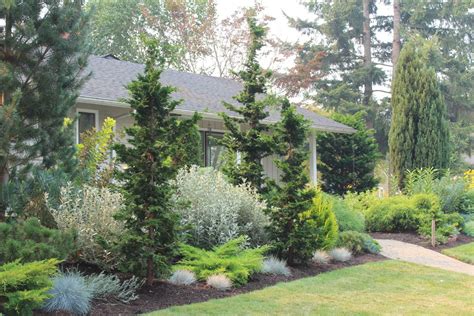 17 Cheap Privacy Landscaping Ideas Privacy Landscaping Landscape
