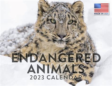 Endangered Animal Species Calendar 2023 Monthly Wall