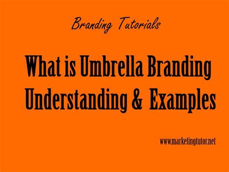 Personal branding is a crucial part of today's business world. What is Umbrella Branding Definition Advantages & Examples ...