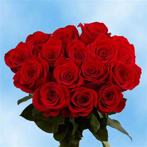 Globalrose Fresh Red Roses For Valentines Day 100 Stems 100 Red
