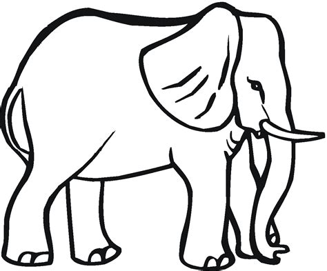 Dibujo De Elefante Pequeno Para Colorear Para Colorearcom Images
