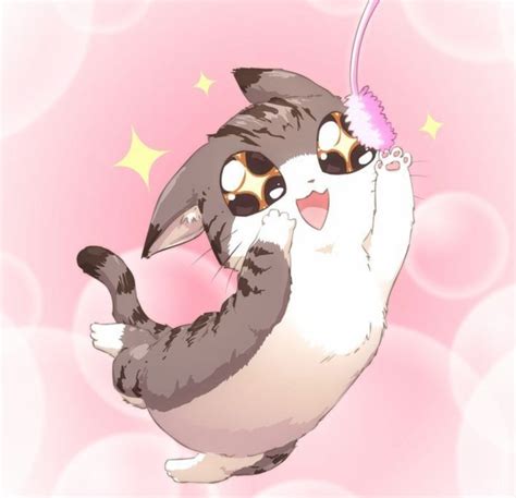 Pin By Ella Harrison On Nekos~ °♡ Cute Anime Cat Anime Cat Kawaii Cat
