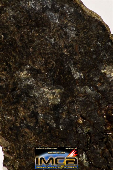 Top Rare 1135 G Nwa Unclassified Ureilite Achondrite Meteorite