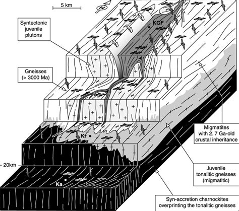 Sketch Summarizing The Three Dimensional Crustal Scale Strain Pattern