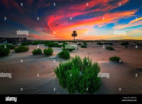 Beautiful Desert Sunrise In Al Hufuf Desert Saudi Arabia Stock Photo
