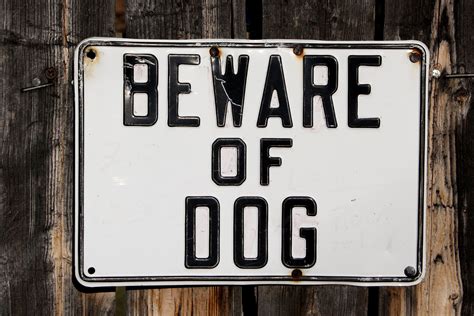 Beware Of Dog Sign Picture Free Photograph Photos Public Domain