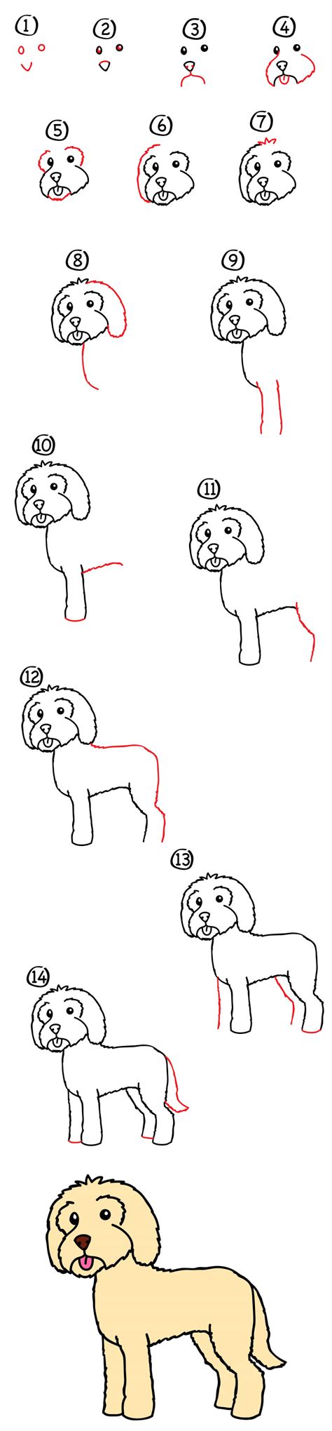 We focus on every detail like dog ears, nose, eyes and even postures. How To Draw A Goldendoodle - Art For Kids Hub