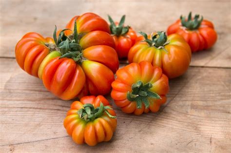 Tips For Growing Better Tomatoes Bbc Gardeners World Magazine