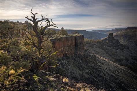 Crooked River Canyon Chimney Rock Stock Image Central Oregon Sean