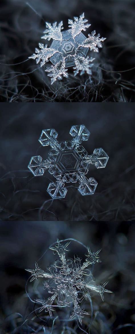 Photographing macro snowflakes can be a fun and rewarding winter challenge, especially since no two snowflakes are the same! Macro Photography Making Miniatures Look Mega - Bored Art ...