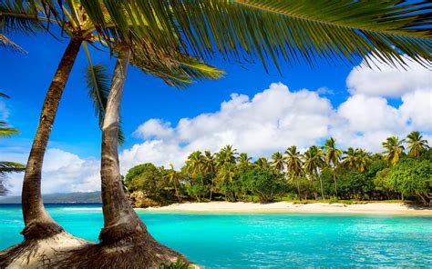 Tropical Sea Beach Palms And Sunny Wallpaper Download 5120x3200