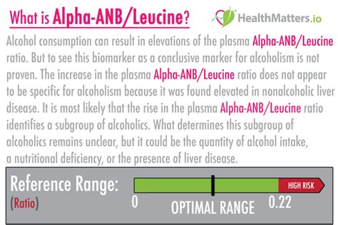 What Is The Alpha Anbleucine Ratio High And Low Values Lab Results