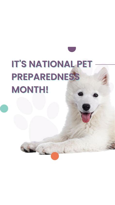 National Pet Preparedness Month Dogs Pets Preparedness