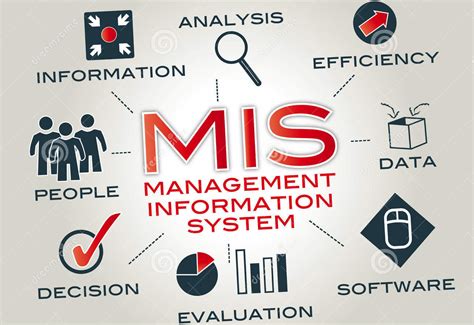 206 Management Information Systems Mba Mcqs Sppu Mba Mcqs