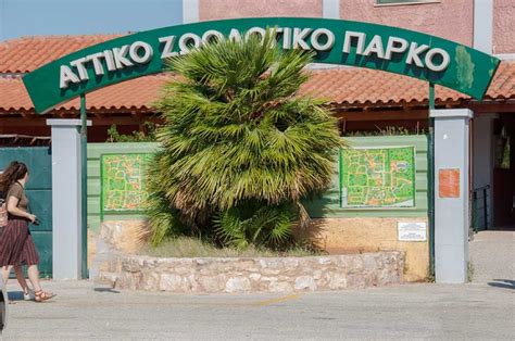 Το αττικό ζωολογικό πάρκο δεν είναι απλά ένας ζωολογικός κήπος. Ε.Π.Σ.ΑΝ.Α.news: ΑΥΤΗ ΕΙΝΑΙ ΧΟΡΗΓΙΑ!!! ΤΟ "ΑΤΤΙΚΟ ...