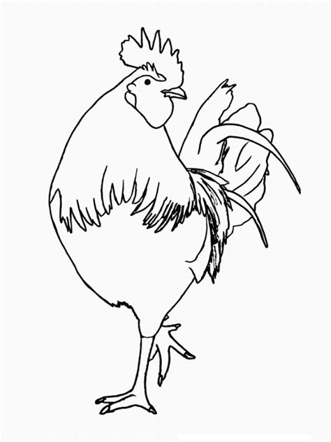 Untuk mengunduh file gambar atau men download gambar mewarnai ayam betina di atas. Gambar Mewarnai Ayam Terbaru | gambarcoloring